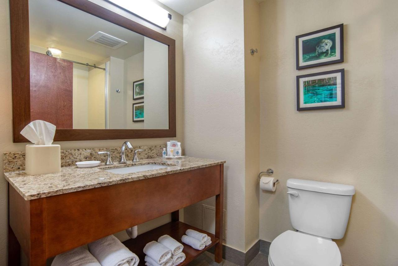 Comfort Suites Tallahassee Capitol - University Area Pokoj fotografie
